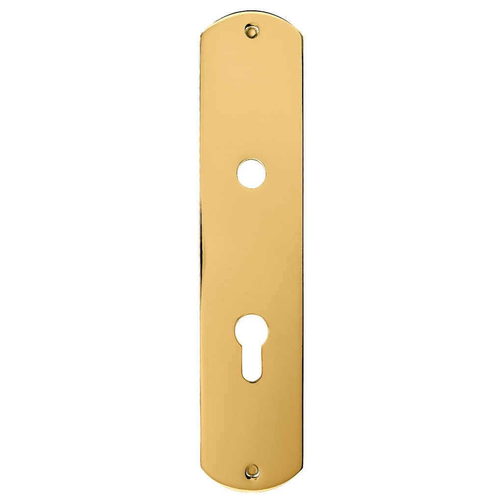 H000-9DP43 Euro profile cylinder plate, Plain