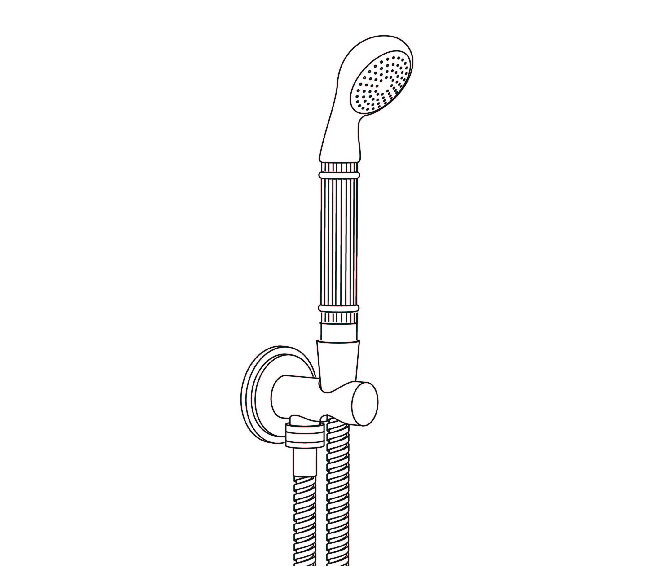 S198-3213 Handshower on wall outlet